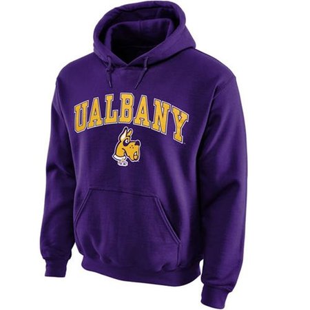 Albany Great Danes Midsize Arch Pullover Hoodie Purple